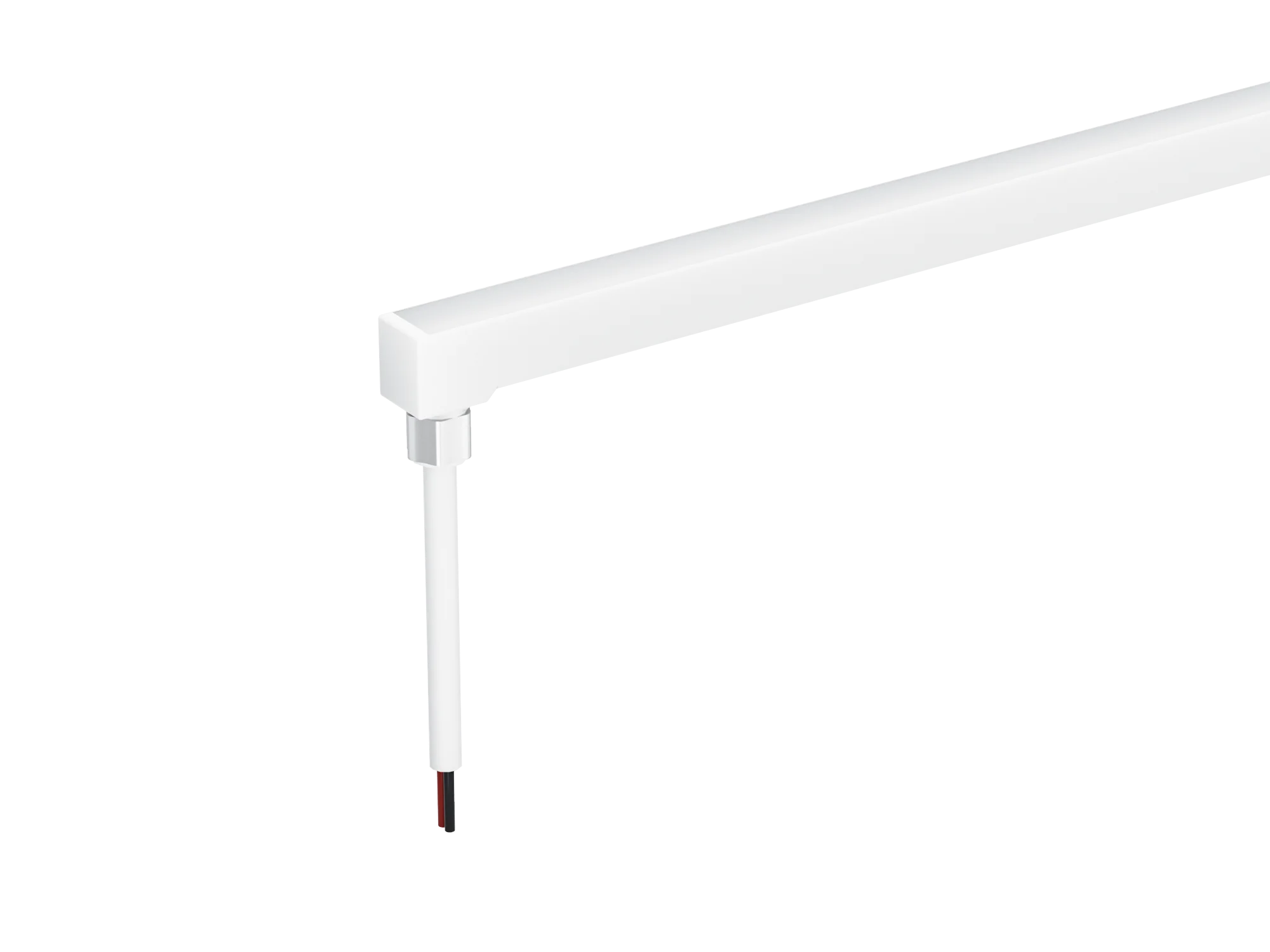 Bottom (inferiore)